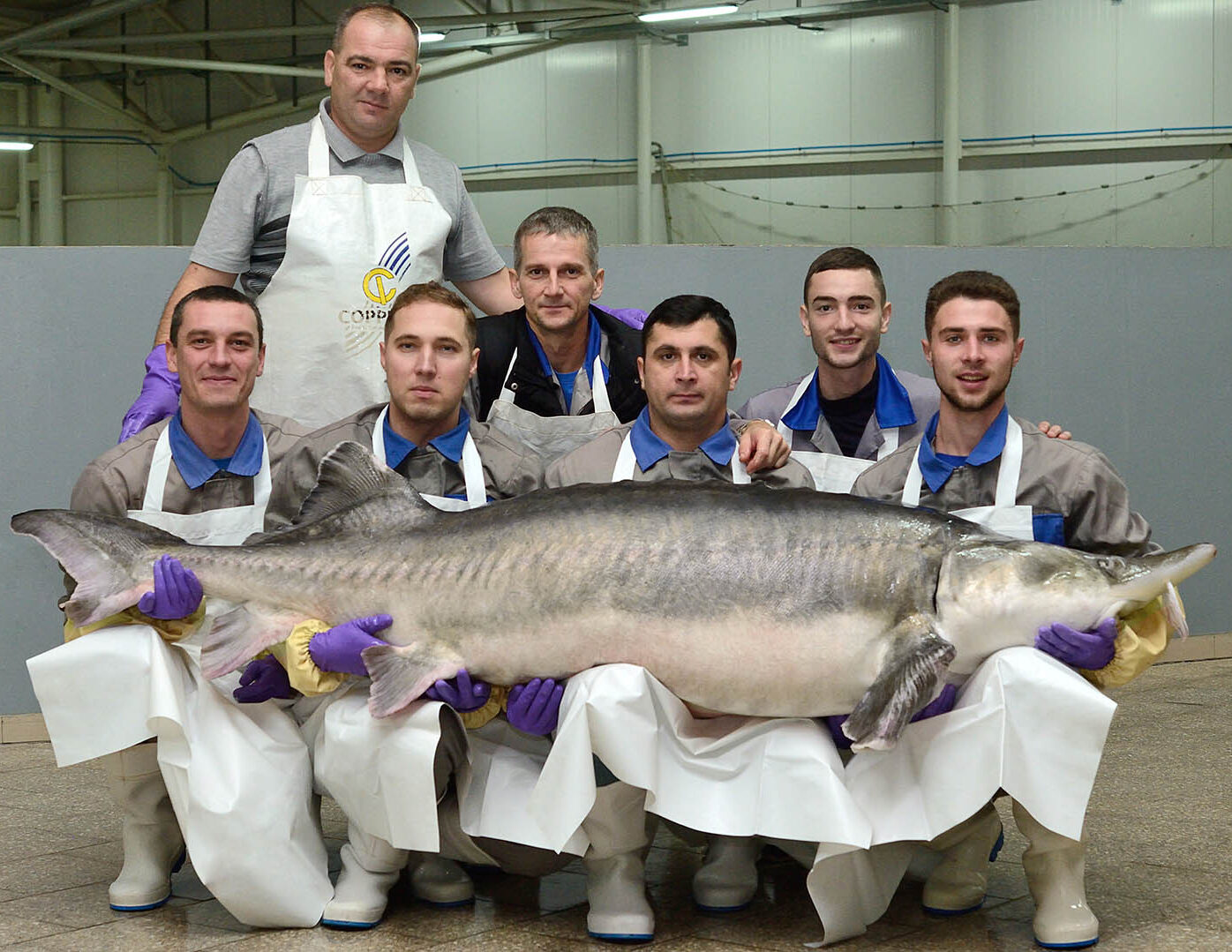 Aquatir sturgeon farm – sustainable aquaculture