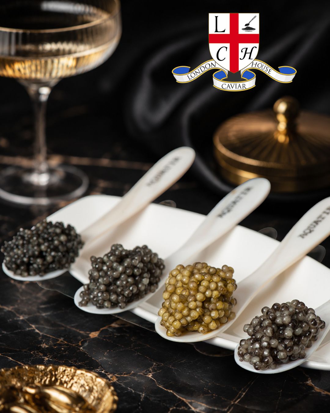 Four Types of Premium Black Caviar | Beluga, Sturgeon, Bester & Sterlet