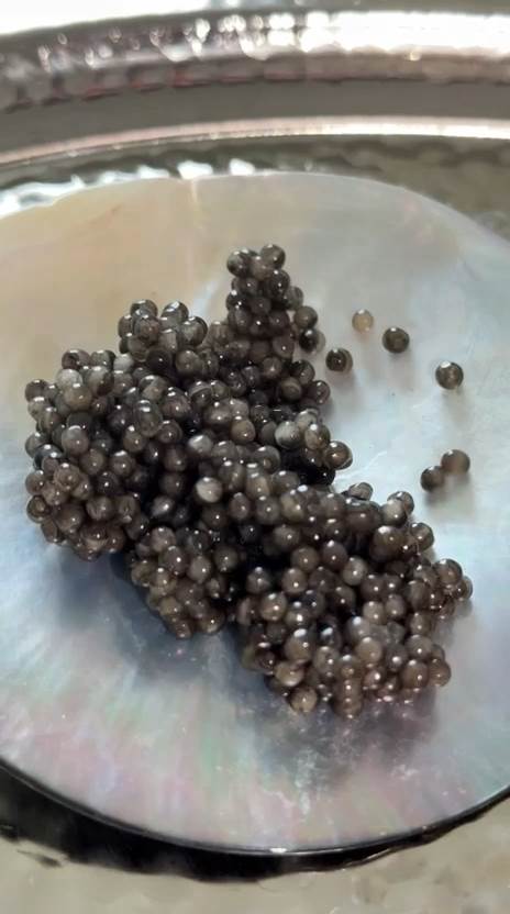 Mother of pearl caviar spoon – luxury caviar serving accessory UK